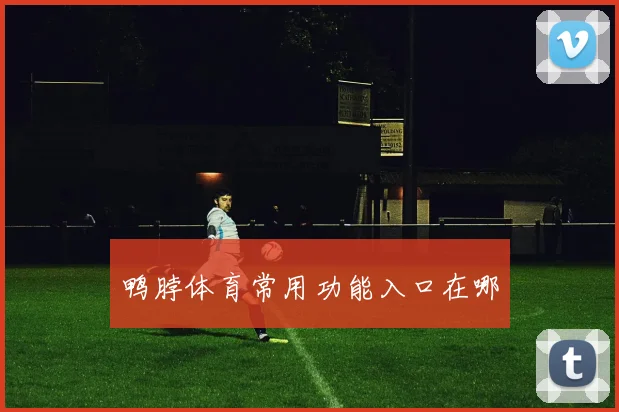 鸭脖体育常用功能入口在哪