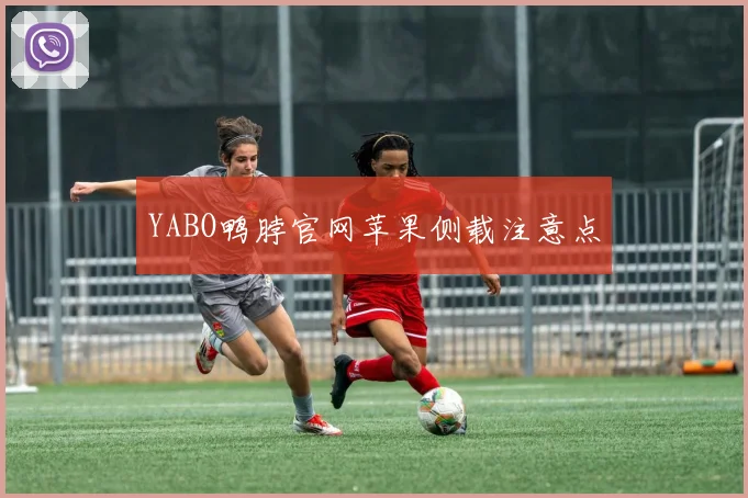 YABO鸭脖官网苹果侧载注意点