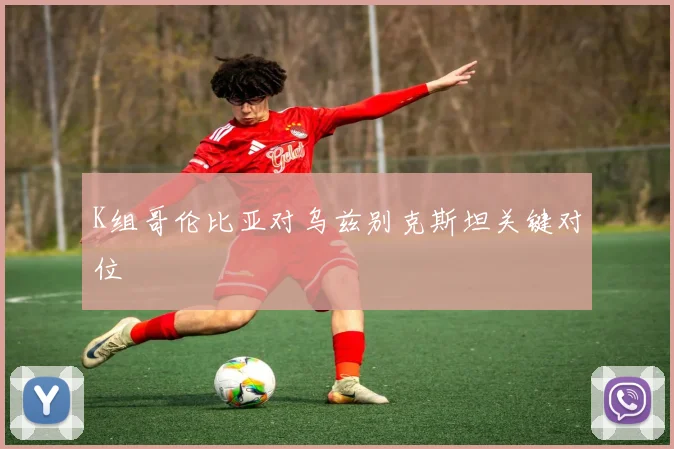 K组哥伦比亚对乌兹别克斯坦关键对位